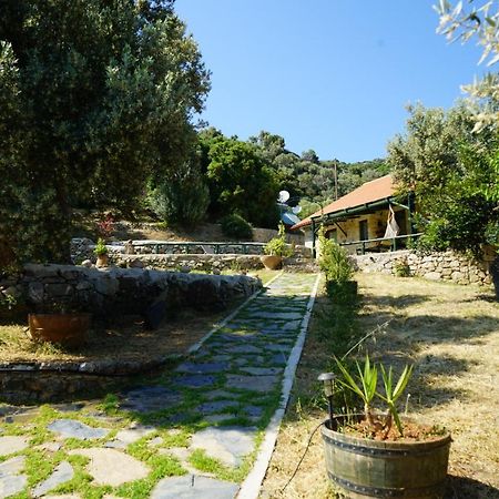 Elpida Country House -Paleochora-Anidri Bagian luar foto